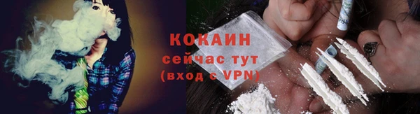 ПСИЛОЦИБИНОВЫЕ ГРИБЫ Белокуриха