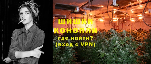 ПСИЛОЦИБИНОВЫЕ ГРИБЫ Белокуриха