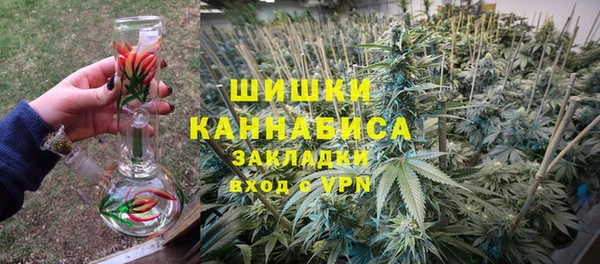 ПСИЛОЦИБИНОВЫЕ ГРИБЫ Белокуриха