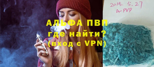 ПСИЛОЦИБИНОВЫЕ ГРИБЫ Белокуриха